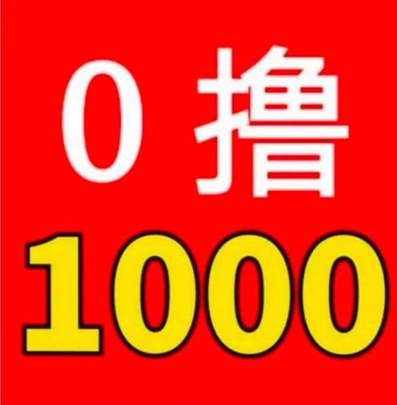 首码，《GAME飞赚》，亲测秒到账 ! 正规稳定 ! 日赚 1000一3000-首码项目网